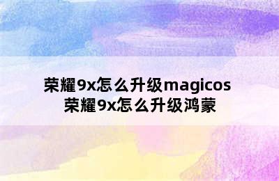 荣耀9x怎么升级magicos 荣耀9x怎么升级鸿蒙